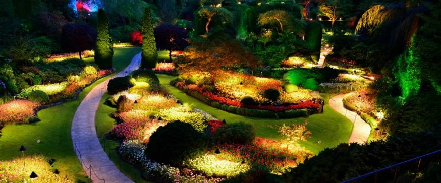 Garden Landscape Lighting